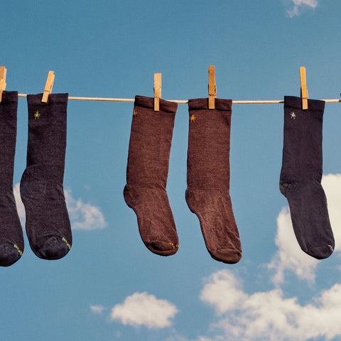 Everyday Anchor Line Crew Socks