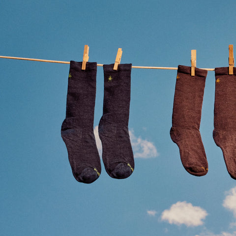 Everyday Anchor Line Crew Socks